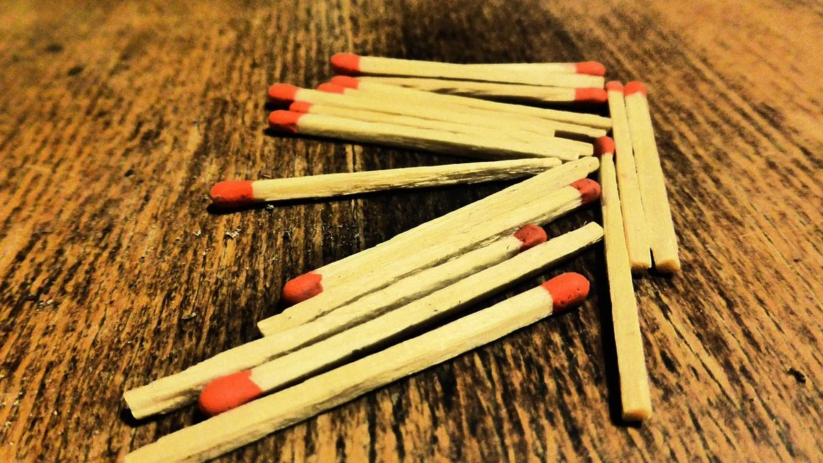 WNBA奖项追踪：阿贾·威尔逊领跑下的状态变化观察